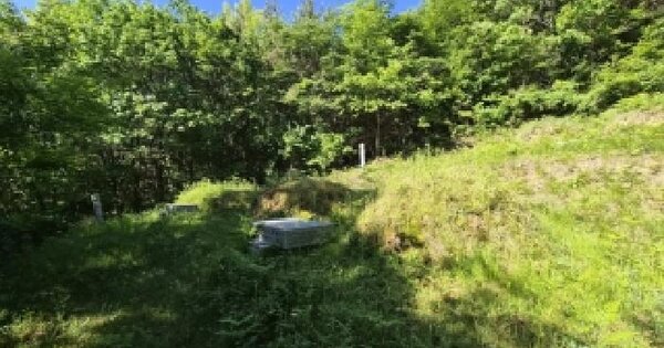 전북특별자치도 김제시 금구면 산동리 산58-4 임야 경매 물건 이미지