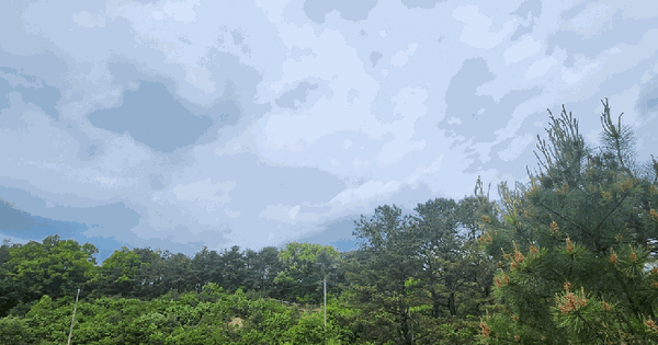 경기도 포천시 소흘읍 송우리 산79-4 임야 경매 물건 이미지
