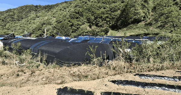 충청북도 괴산군 청천면 귀만리 106 양어장 경매 물건 이미지