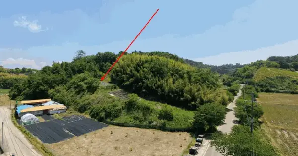 경상남도 사천시 서포면 다평리 874-5 과수원 경매 물건 이미지