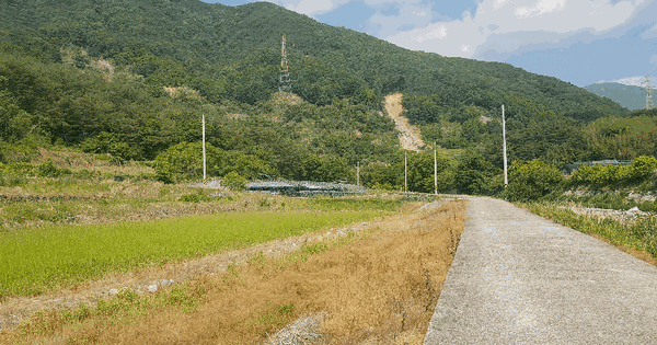 경상남도 산청군 단성면 길리 305 답 경매 물건 이미지