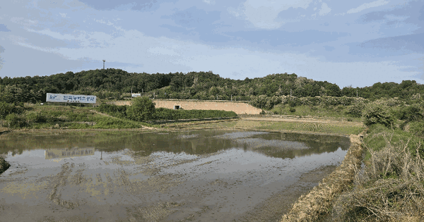 충청북도 보은군 삼승면 둔덕리 270 답 경매 물건 이미지