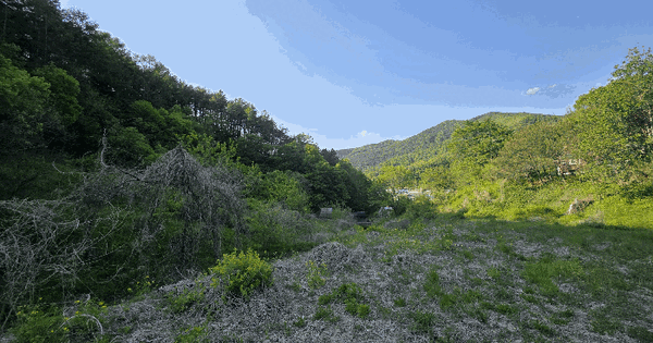 충청북도 옥천군 청산면 만월리 산71 임야 경매 물건 이미지