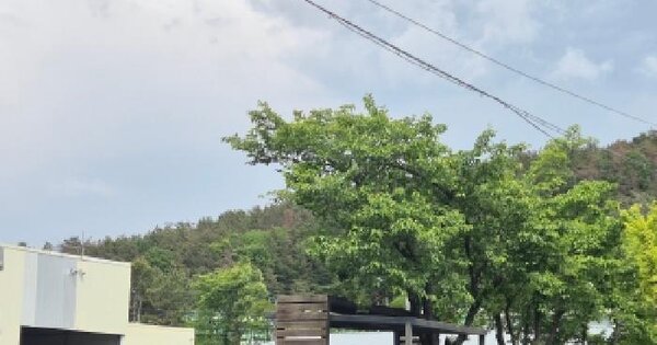 경상북도 경주시 내남면 노곡리 산259 임야 경매 물건 이미지