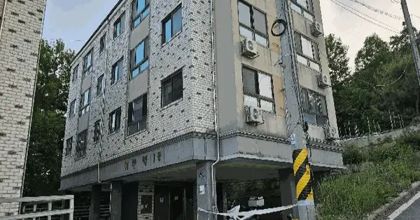 세종특별자치시  장군면 도계리 234-7  다가구주택 경매 물건 이미지