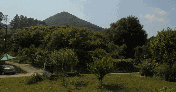 전남광주통합특별시 광양시 다압면 고사리 1806-6 답 경매 물건 이미지