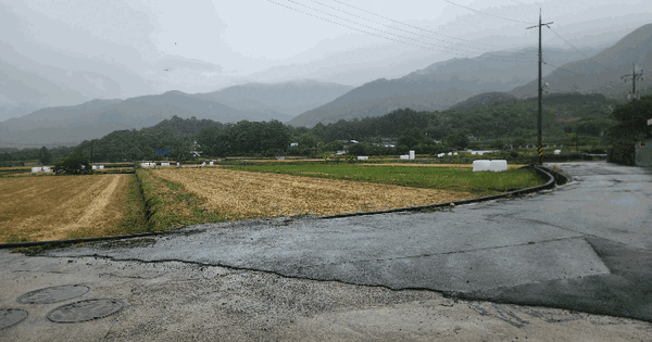 전남광주통합특별시 구례군 간전면 삼산리 87-4 답 경매 물건 이미지