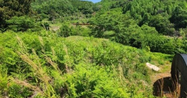 전남광주통합특별시 순천시 낙안면 평사리 산41 임야 경매 물건 이미지