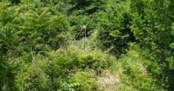 경상남도 창녕군 계성면 봉산리 484 답 경매 물건 이미지