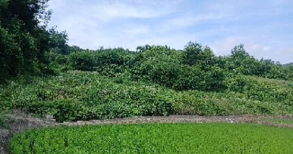 전북특별자치도 임실군 성수면 삼청리 278-1 답 경매 물건 이미지