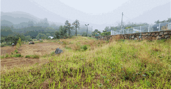 경상북도 칠곡군 동명면 남원리 943 전 경매 물건 이미지