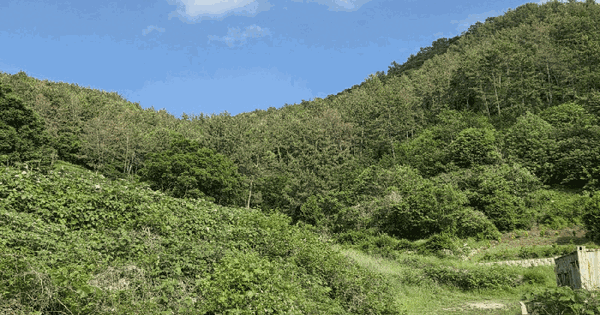 전남광주통합특별시 여수시 소라면 현천리 산22 임야 경매 물건 이미지