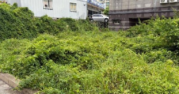 경상남도 거제시 상동동 502-4 대지 경매 물건 이미지