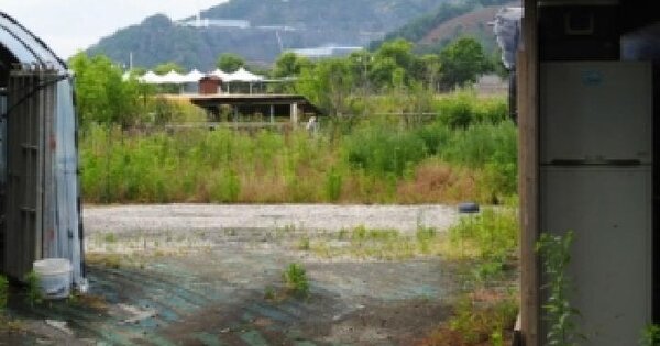 경상남도 밀양시 상남면 연금리 604-8 답 경매 물건 이미지