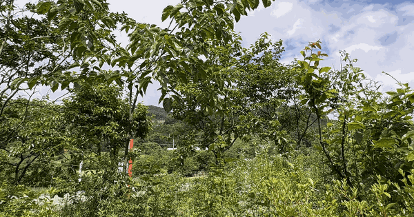 경상남도 산청군 단성면 남사리 산30-16 임야 경매 물건 이미지