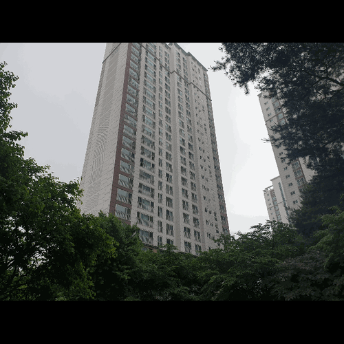 물건 사진