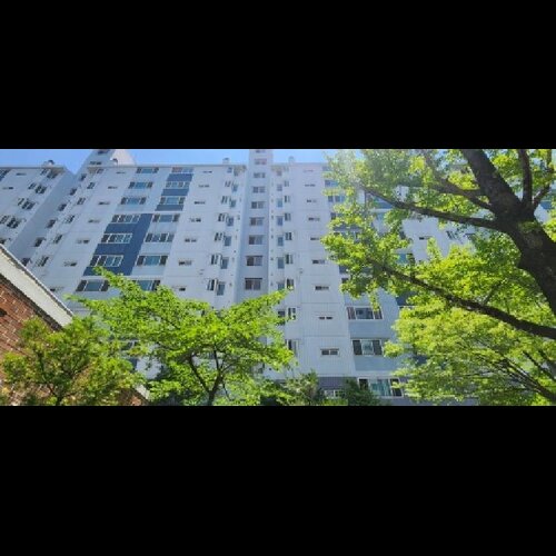 물건 사진