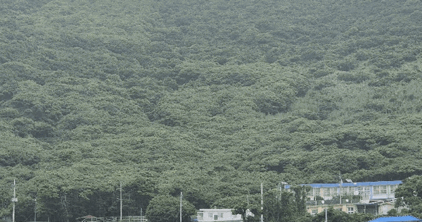 전남광주통합특별시 신안군 흑산면 가거도리 308 전 경매 물건 이미지