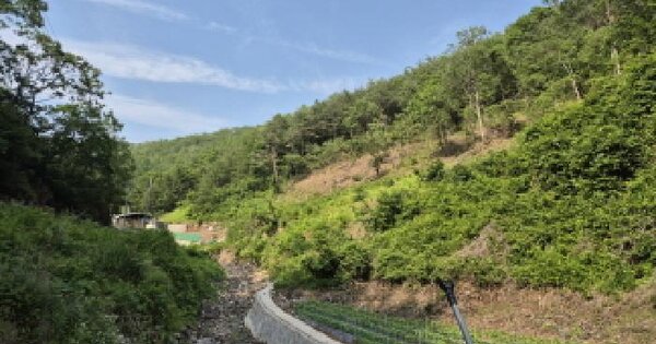 경상북도 영양군 입암면 금학리 1032 답 경매 물건 이미지