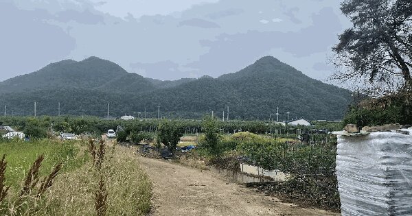 경상북도 영덕군 지품면 신양리 420 답 경매 물건 이미지