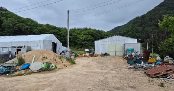 경상북도 영양군 수비면 신암리 101-1  미지정 경매 물건 이미지