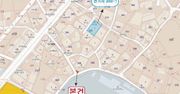 세종특별자치시  연기면 연기리 389-3  미지정 경매 물건 이미지