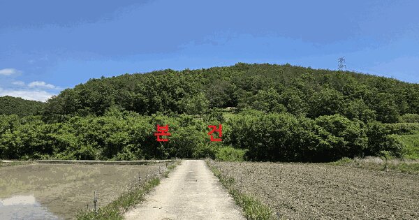 경상북도 영천시 고경면 논실리 357  미지정 경매 물건 이미지