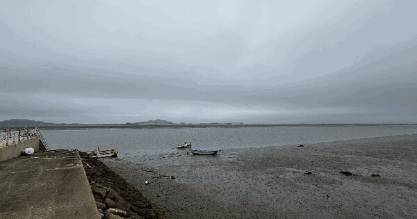 전라남도 신안군 지도읍 태천 지선  미지정 경매 물건 이미지