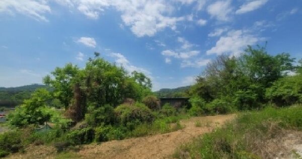 경상남도 의령군 의령읍 대산리 504-1  미지정 경매 물건 이미지