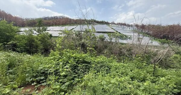 경상북도 영덕군 영덕읍 화수리 산108-7 임야 경매 물건 이미지