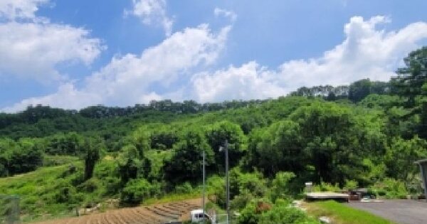 충청북도 괴산군 괴산읍 신항리 466-1  미지정 경매 물건 이미지