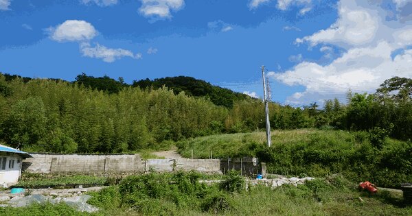 울산광역시 울주군 언양읍 직동리 산83  미지정 경매 물건 이미지