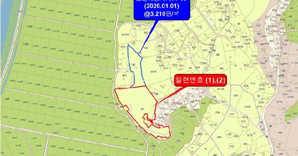 전라남도 영암군 시종면 와우리 산107-1  미지정 경매 물건 이미지