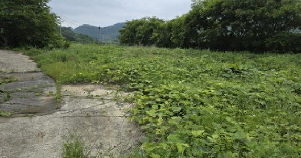 전라남도 강진군 마량면 영동리 9  미지정 경매 물건 이미지