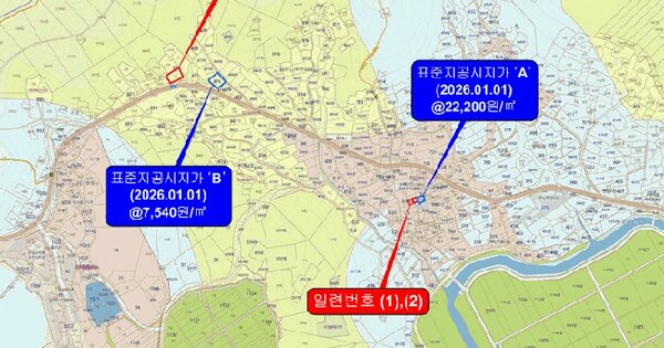 전라남도 완도군 완도읍 대신리 630  미지정 경매 물건 이미지
