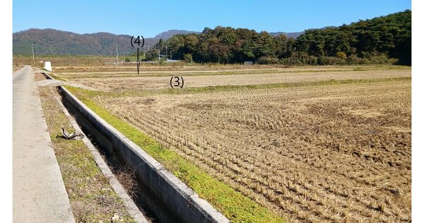 전라남도 장성군 북이면 달성리 560-14 답 경매 물건 이미지