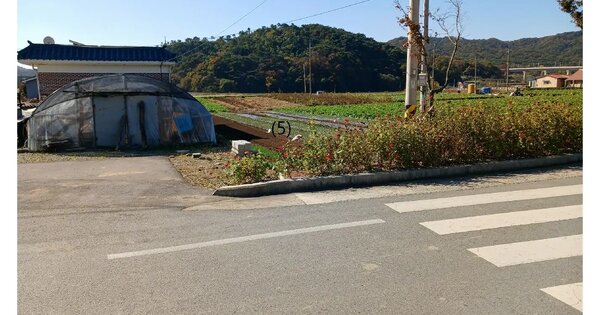전라남도 장성군 북이면 달성리 407-55 전 경매 물건 이미지