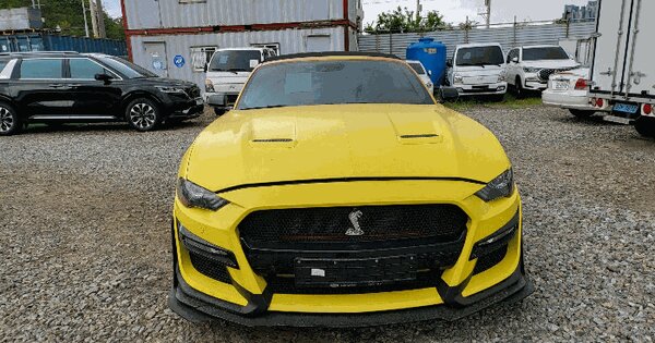 Mustang5.0 GT Convertible 등록번호 : 347조9944 미지정 경매 물건 이미지