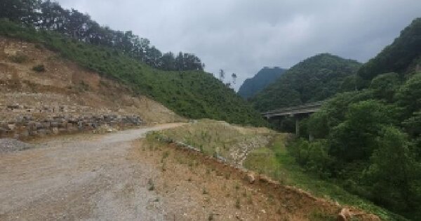 충청북도 옥천군 안내면 방하목리 산25-12  미지정 경매 물건 이미지