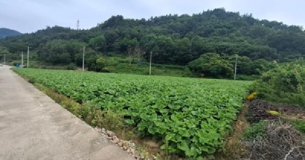 경상남도 진주시 금산면 가방리 78-18  미지정 경매 물건 이미지