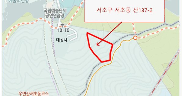 서울특별시 서초구 서초동 산137-2  미지정 경매 물건 이미지