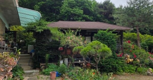 충청북도 제천시 청풍면 신리 187-1  미지정 경매 물건 이미지