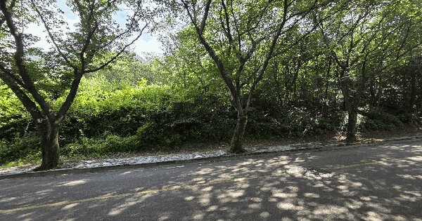울산광역시 울주군 상북면 등억알프스리 506-5  미지정 경매 물건 이미지
