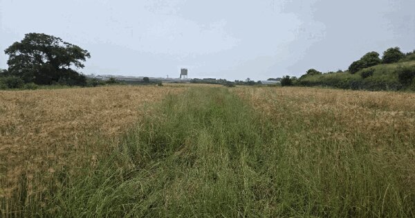 제주특별자치도 제주시 애월읍 신엄리 2288-2  미지정 경매 물건 이미지