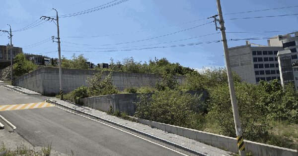 경상북도 경주시 감포읍 오류리 295-4  미지정 경매 물건 이미지