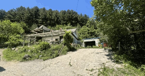 강원특별자치도 인제군 인제읍 덕적리 299-4  미지정 경매 물건 이미지