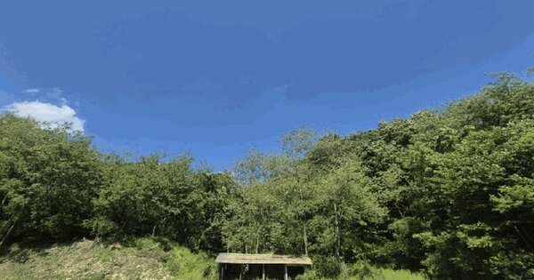 강원특별자치도 화천군 사내면 사창리 산60-10  미지정 경매 물건 이미지