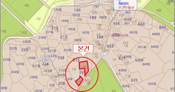 인천광역시 강화군 교동면 서한리 203-2  미지정 경매 물건 이미지