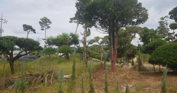 충청남도 천안시 동남구 수신면 해정리 14-4  미지정 경매 물건 이미지