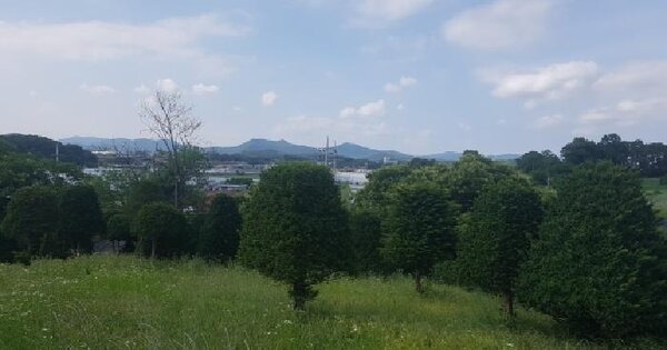 충청남도 천안시 동남구 수신면 해정리 20-1 전 경매 물건 이미지
